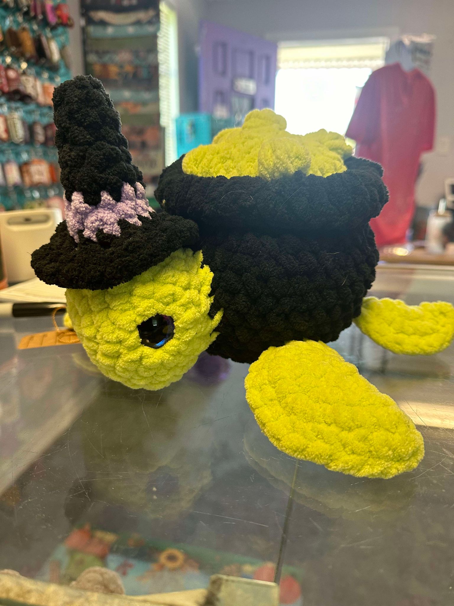 Witch Turtle Crochet